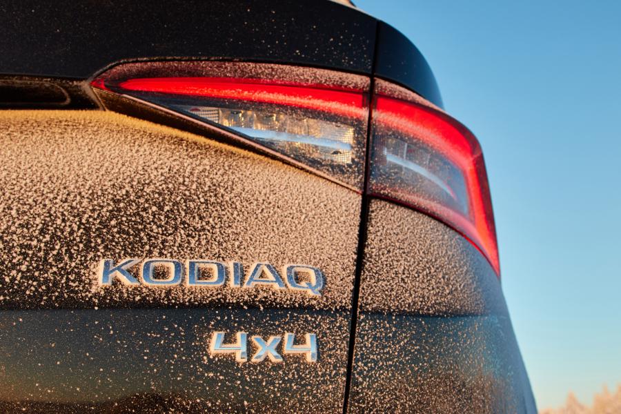Логотип Skoda Kodiaq Scout 2017 года  (WW) (фото 33 из 61)